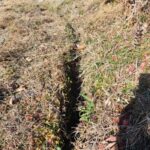 農園だより　No1