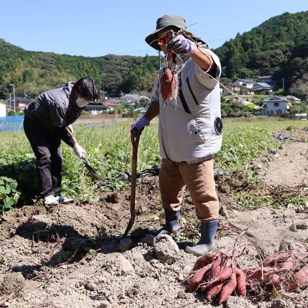 農園作業2