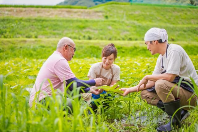 一次産業の人手不足解決