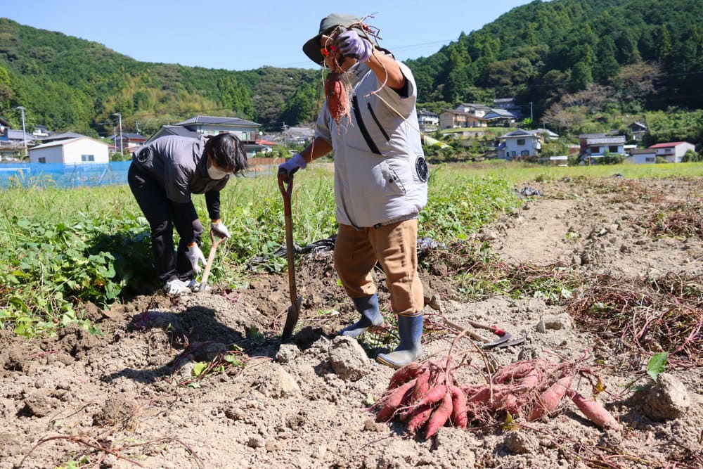 農福連携の取り組み