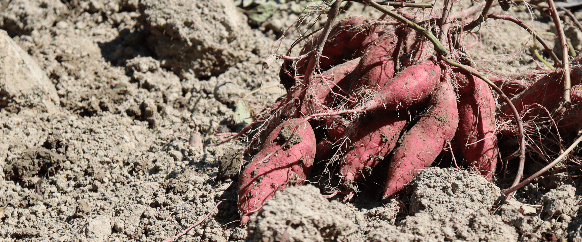 加工作業の様子